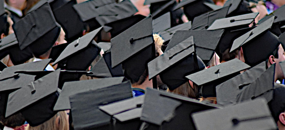  Foto: © Martina Busch 